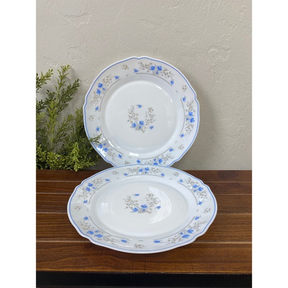 Set of 2 Vintage Romantique by Arcopal Plates - Blue Floral Cottagecore - Picture 1 of 4